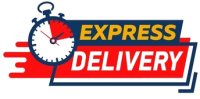 STANDARD EXPRESS DELIVERY SERVICE